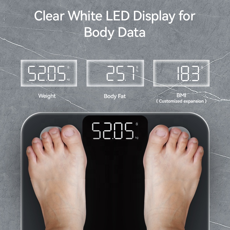 Smart Home Bilancia per grasso - Health Monitors recensione e prezzo